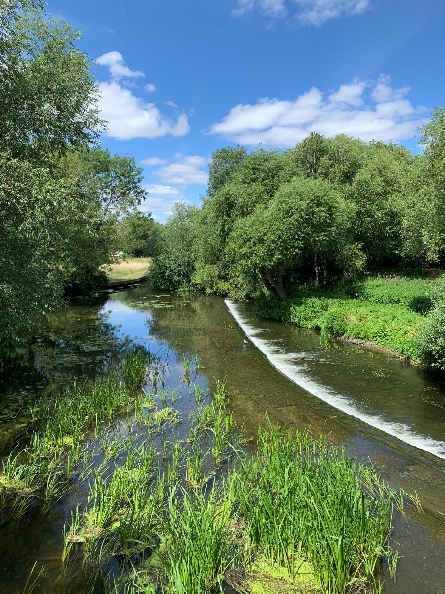 What's happening to our water?